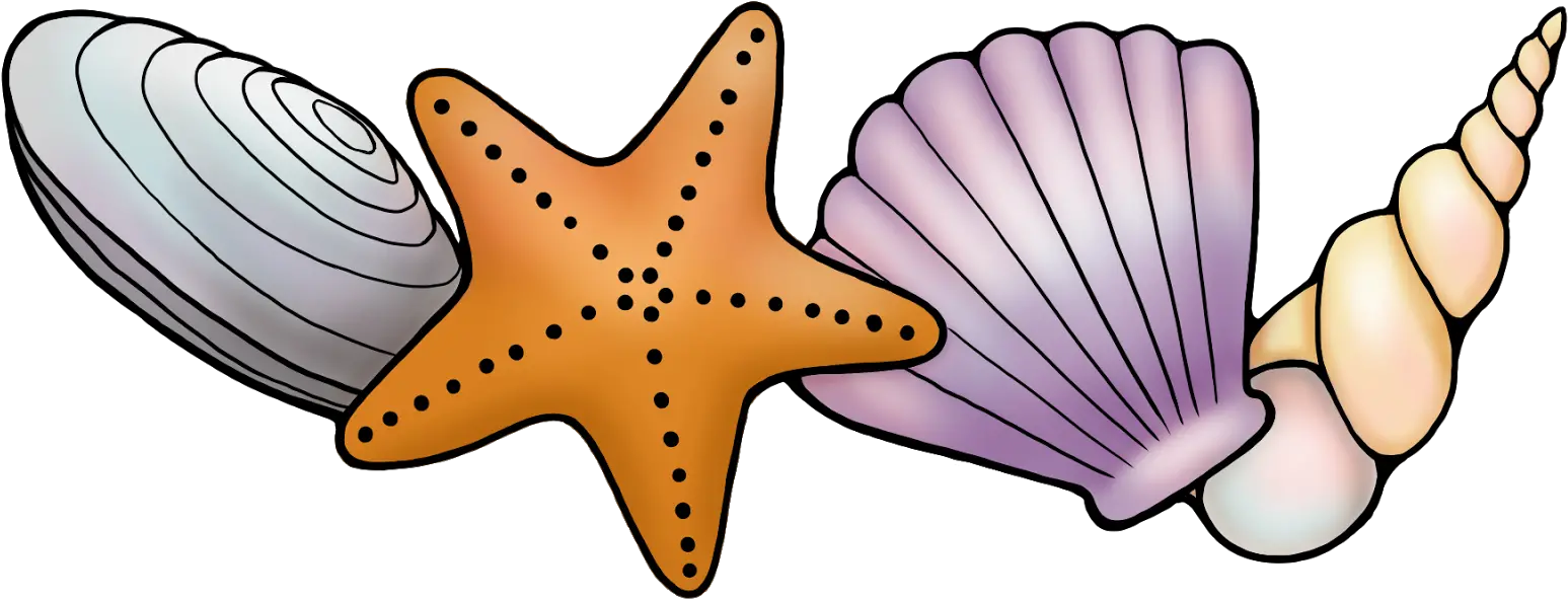 Png Transparent Background Shells Clipart Starfish Transparent Background