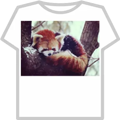 Red Panda Donation Roblox Pepsi T Shirt Roblox Png Red Panda Transparent
