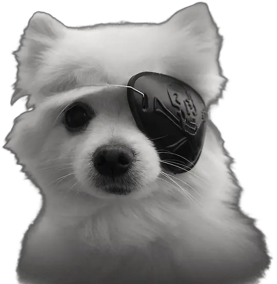 Gabe The Dog Png 4 Image Eyepatch Gabe The Dog Png