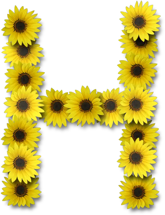 Alfabeto Sunflowers Alphabet Sunflower Letters Png Sunflower Emoji Transparent