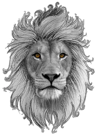 Leo Transparent Background Png Play African Lion Lion Head Transparent