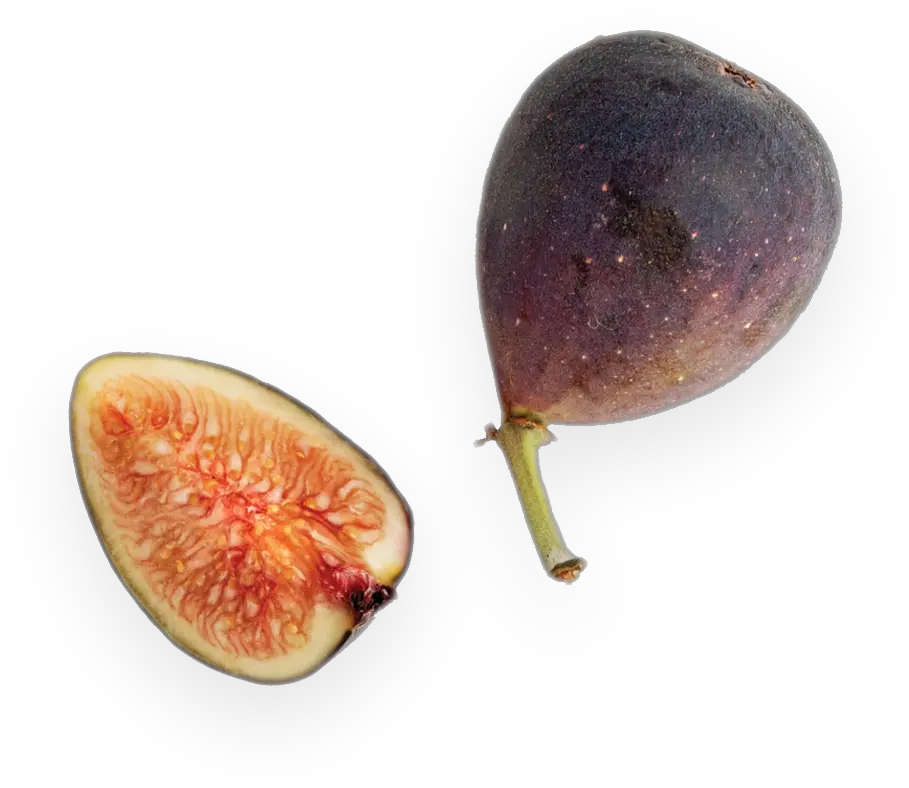 Letu0027s Eat Philly Superfood Png Fig Png