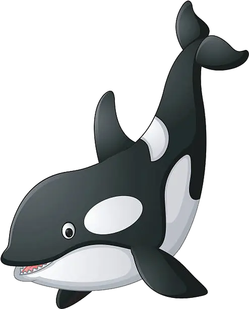 Killer Whale Png Animada Imagen De Orca Whale Clipart Png