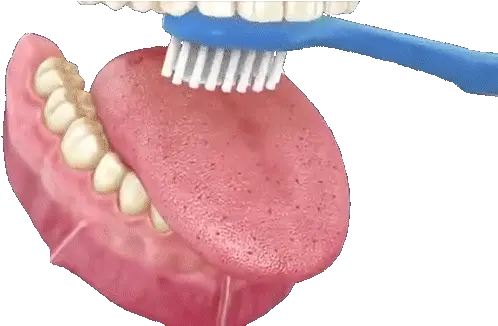Tongue Transparent Toothbrush Dentistry Brush Your Tongue Gif Png Tongue Transparent