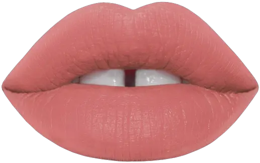 Pink Lemonade Eyeshadow Palette In 2020 Png Lipstick Emoji
