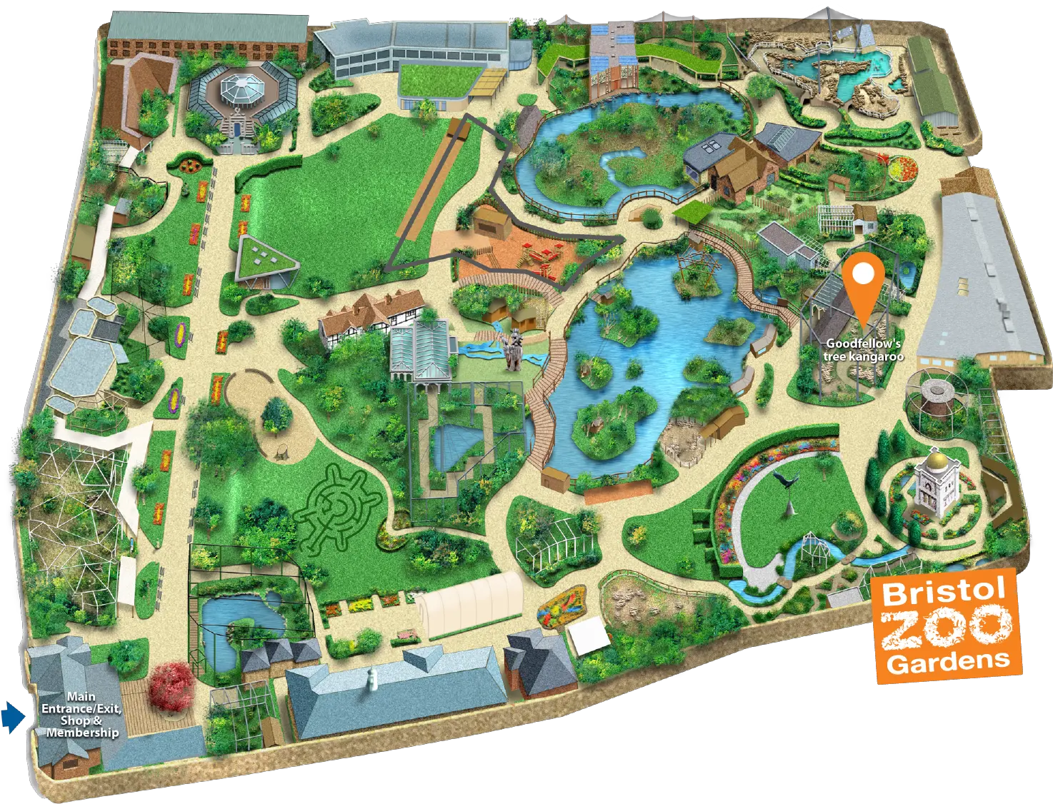 Goodfellowu0027s Tree Kangaroo Bristol Zoo Bristol Zoo Lion Enclosure Png Tree Plan View Png