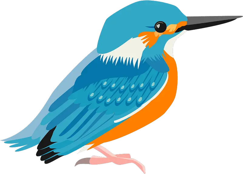 Common Kingfisher Bird Clipart Free Download Transparent Clipart Image Of A Bird Png Birds Transparent png