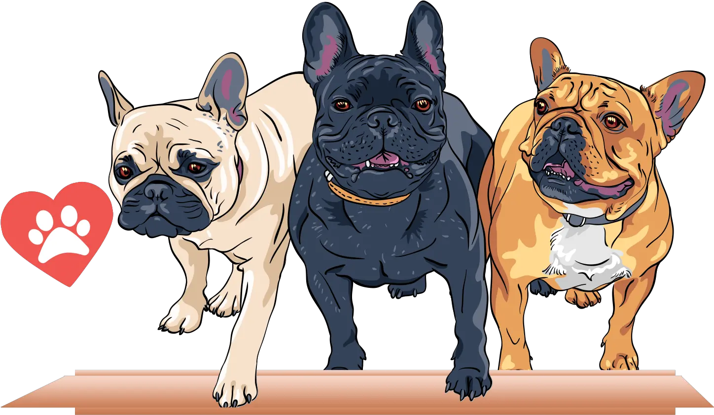 Download French Bulldog T Too Hard To Look Back And You Re Illustration Cartoon French Bulldog Png French Bulldog Png