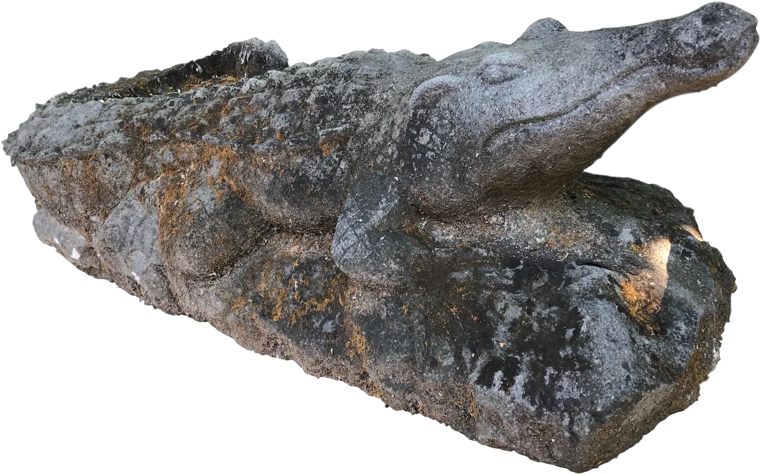 Lava Stone Alligator Igneous Rock Png Gator Png