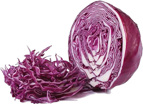 Red Cabbage U2013 Gyro Street Transparent Red Cabbage Png Cabbage Png
