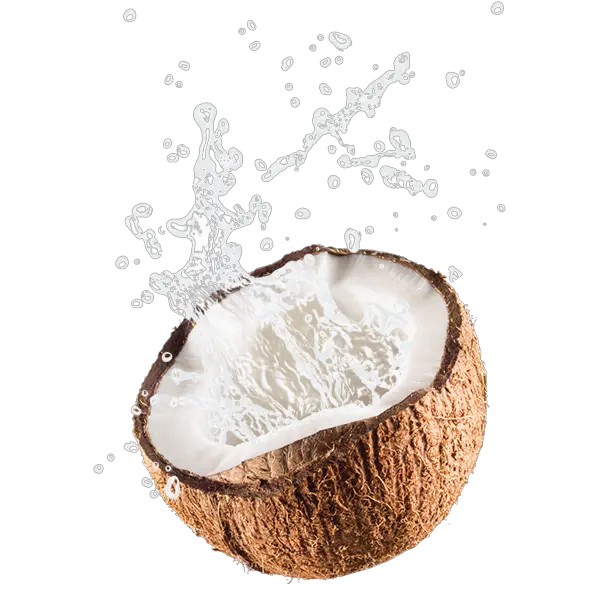 Coconut Free Png Image Transparent Background Coconut Png Coconut Png