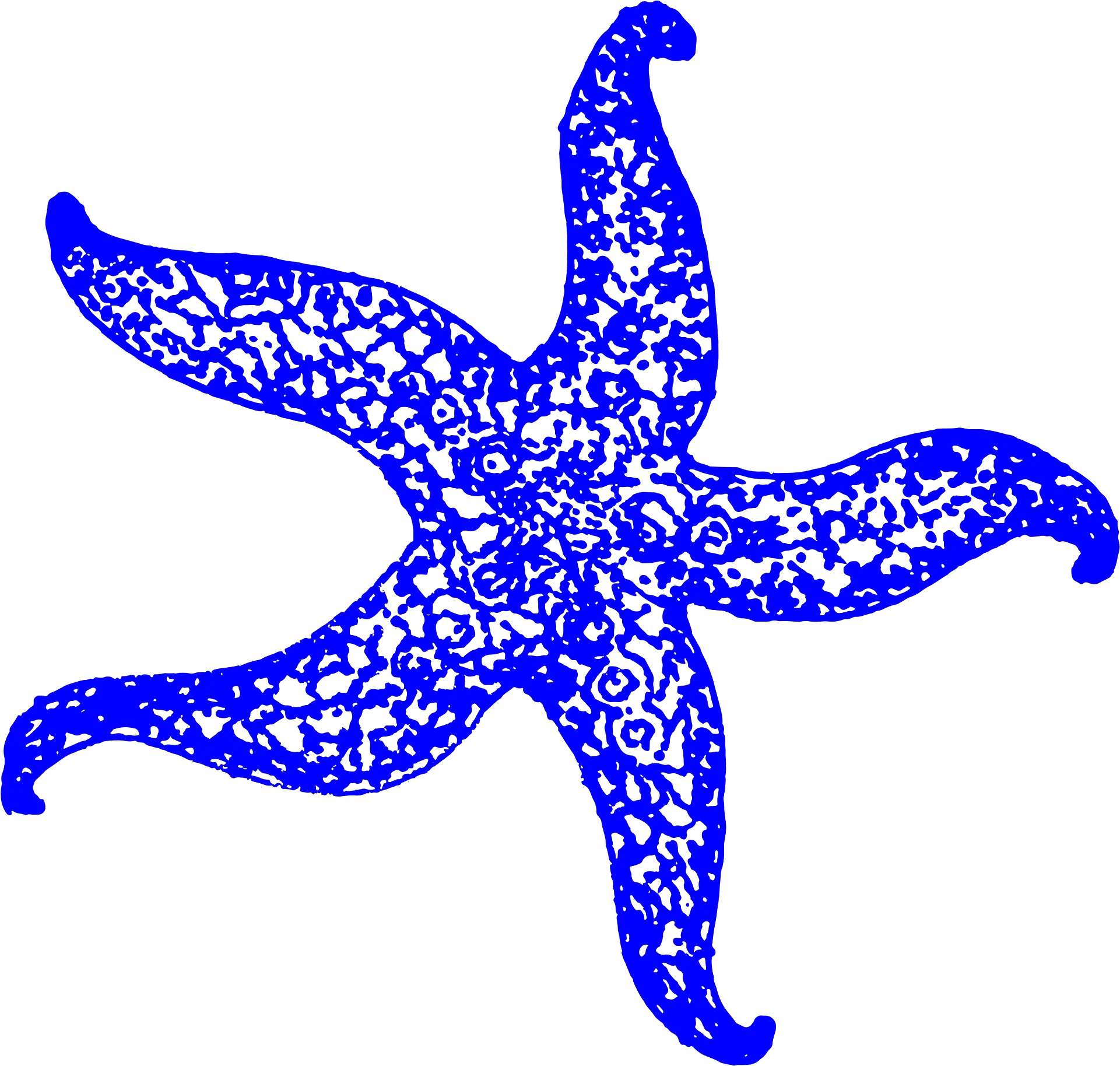 Starfish Clipart Free Download Transparent Png Creazilla Portable Network Graphics Starfish Clipart Png