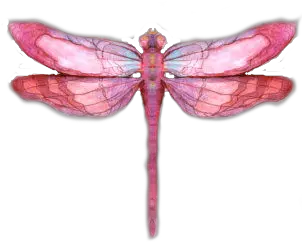 Drawing Insects Dragonfly Transparent U0026 Png Clipart Free Watercolor Dragonfly Transparent Background Dragonfly Png