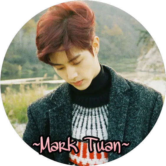 Got7 Marktuan Mark Sticker Pixie Cut Png Mark Tuan Icon