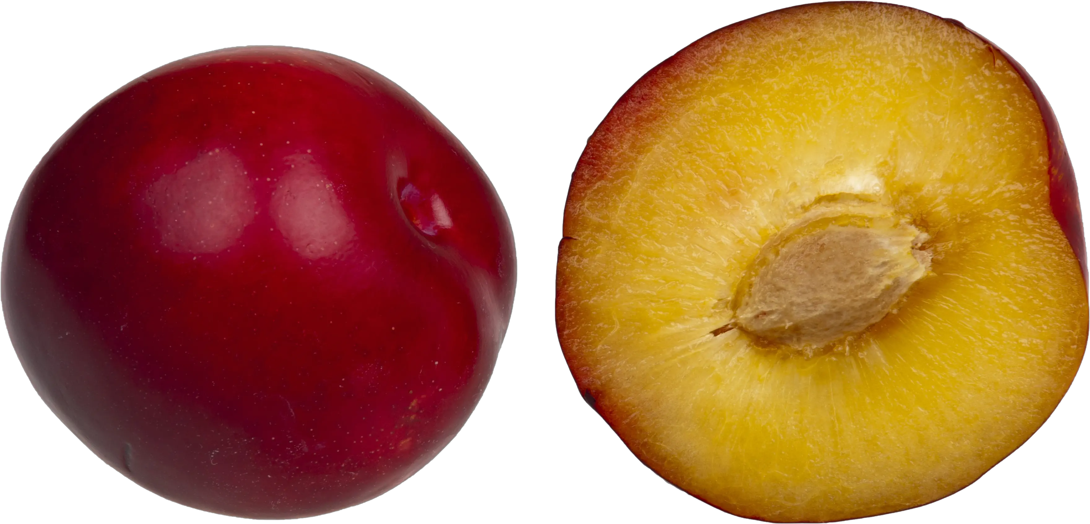 Plum Png Background Single Seed One Seed Fruits Name Plum Png