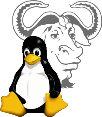 Gnulinux Gnu Linux Logo Png Linux Png