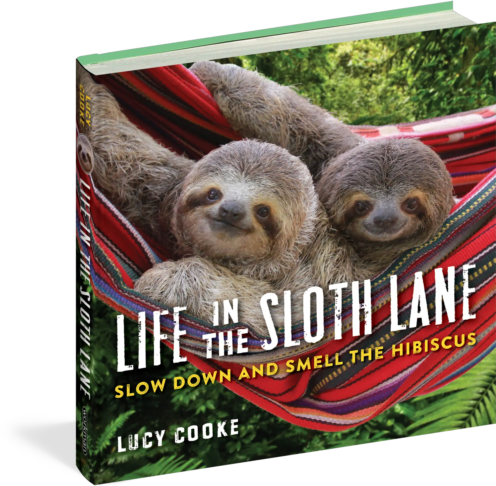Book Life In The Sloth Lane Life In The Sloth Slow Down And Smell The Hibiscus Png Sloth Transparent