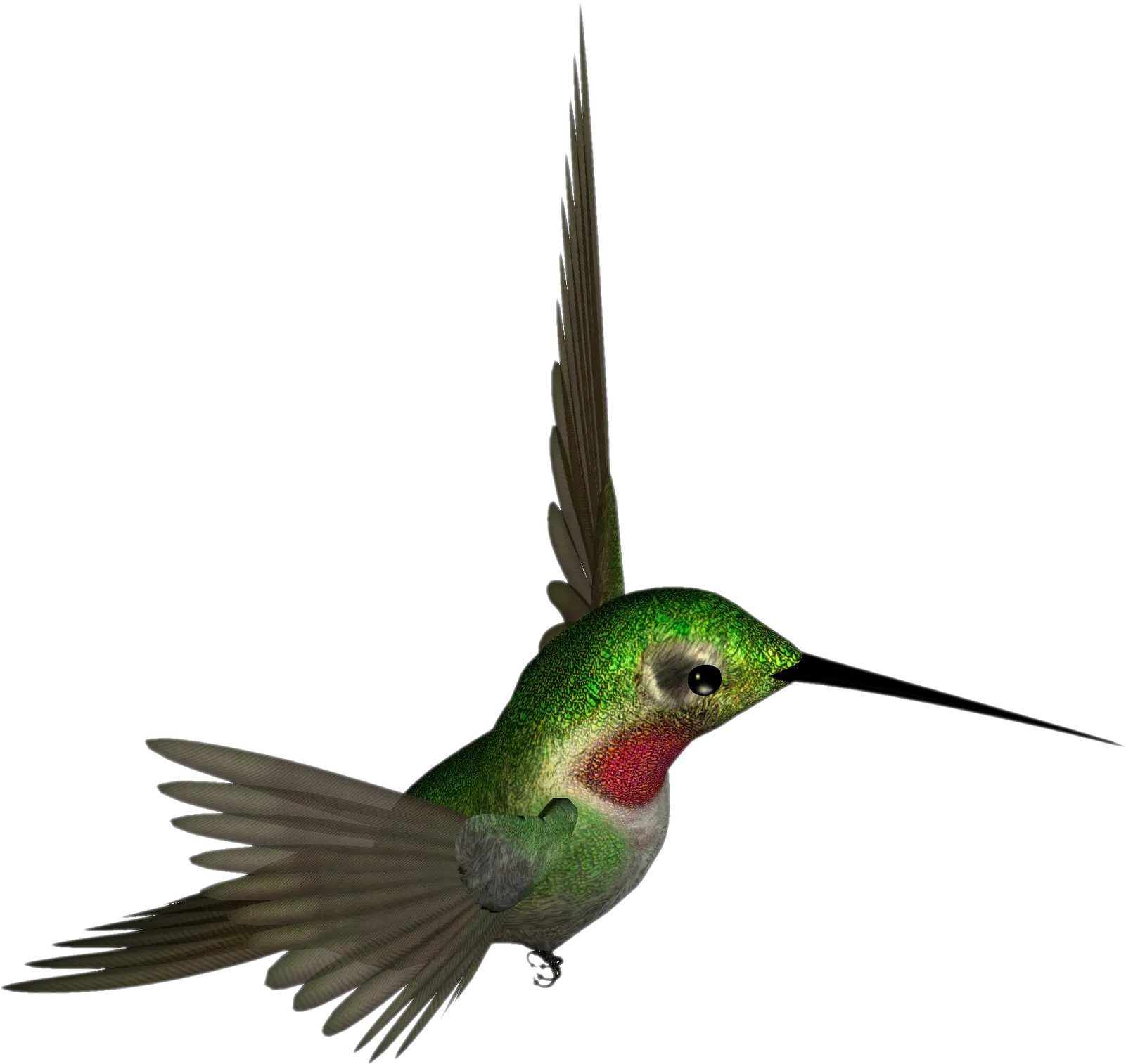 Download Hummingbird Png Hummingbird Clipart Hummingbird Png