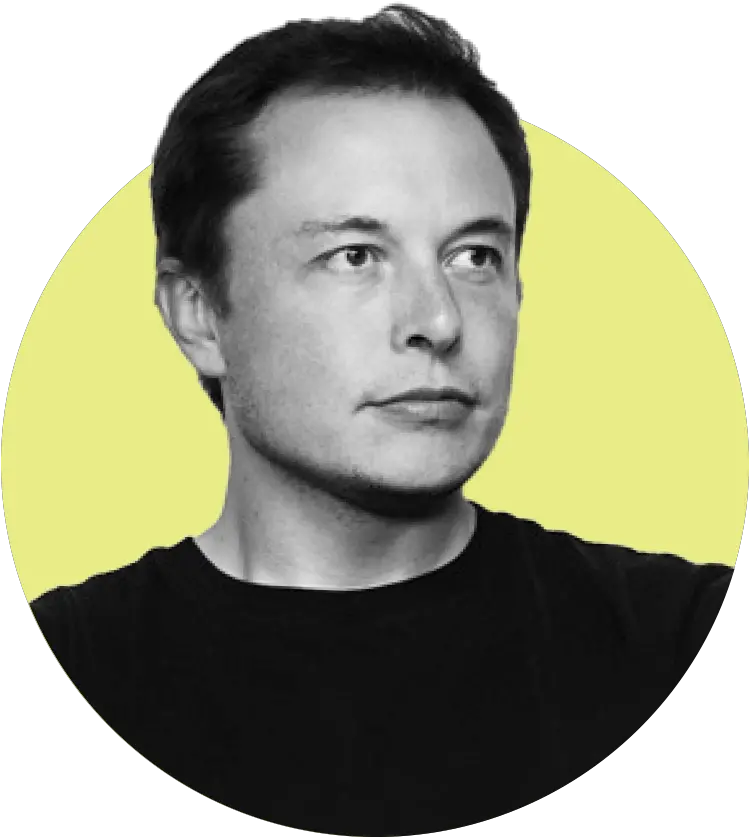 The Elon Musk Jordan Peterson Png Elon Musk Png