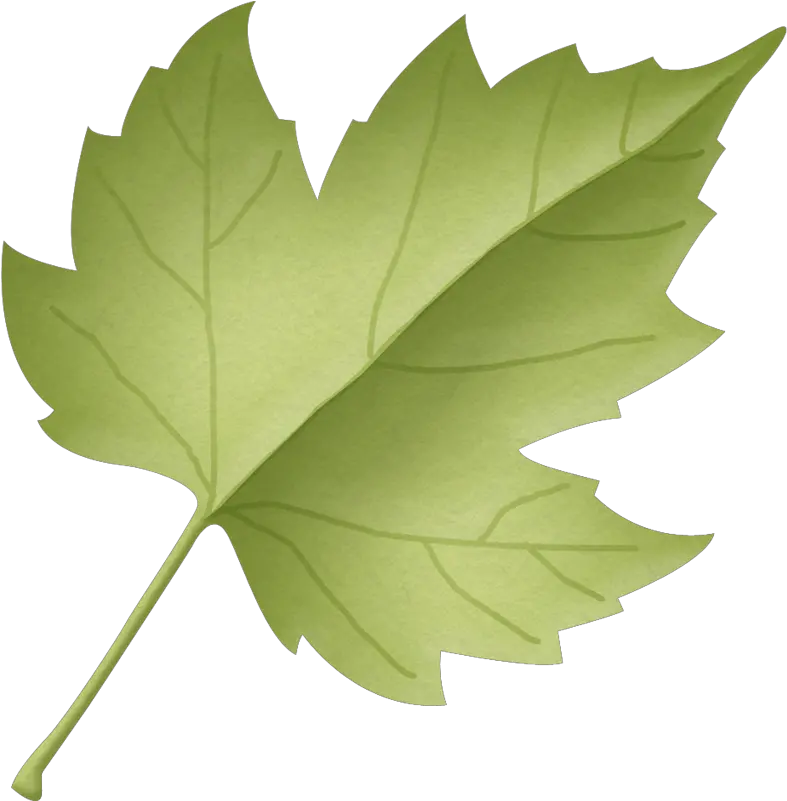 Download Leaf Clipart Woodland Maple Leaf Png Image With Leaf Woodland Clipart Leaf Clipart Transparent png