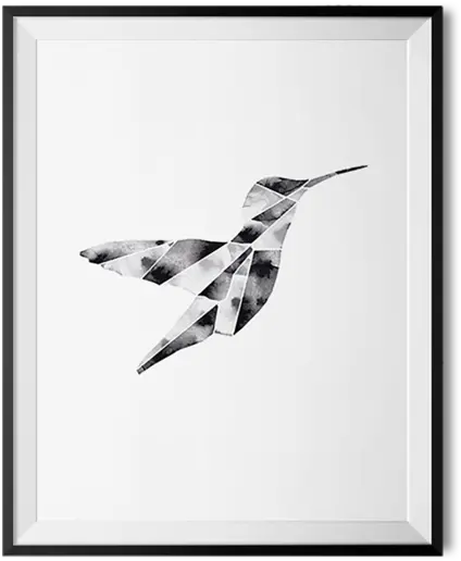 Hummingbird Hummingbird Png Hummingbird Transparent