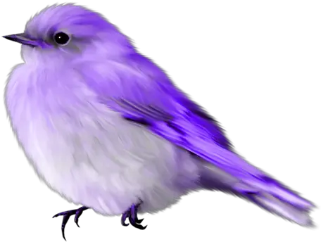 Download Album Blue Bird Gif Transparent Png Image With No Transparent Background Bird Gif Png Birds Transparent Background png