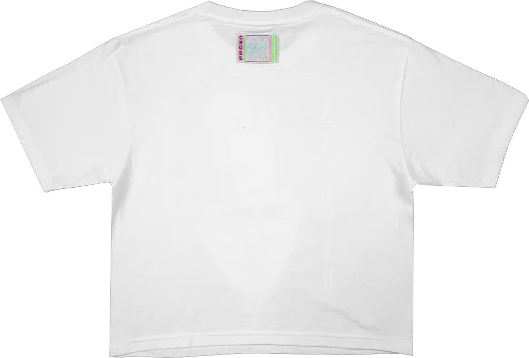 Cross Colours Aaliyah Baby Girl Crop T Shirt White Short Sleeve Png Vault Girl Icon