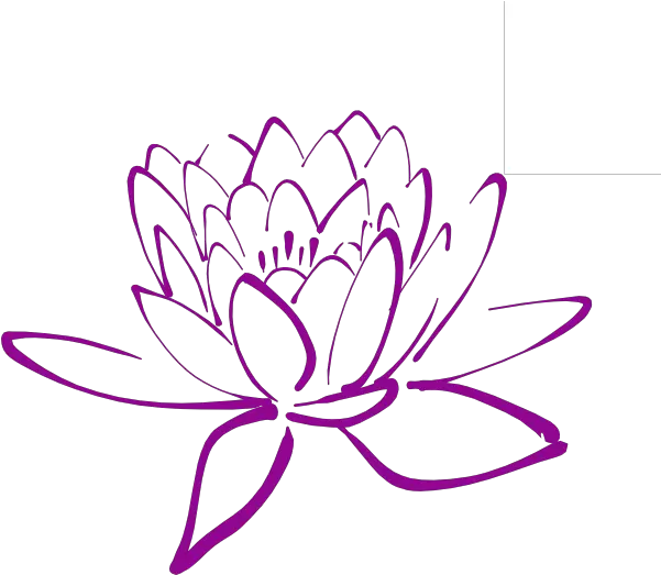 Magnolia Flower Clip Art Lotus Flower Outline Png Flower Drawing Lotus Png Flower Outline Png png
