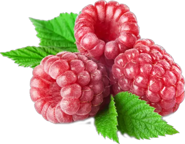 Download Raspberry Free Png Transparent Raspberry Purplr Raspberries Png