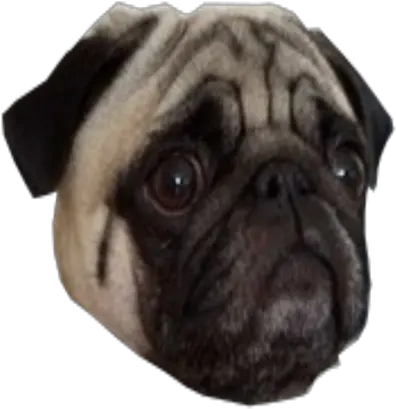 Pug Face Png 2 Image Png Pug Face Png