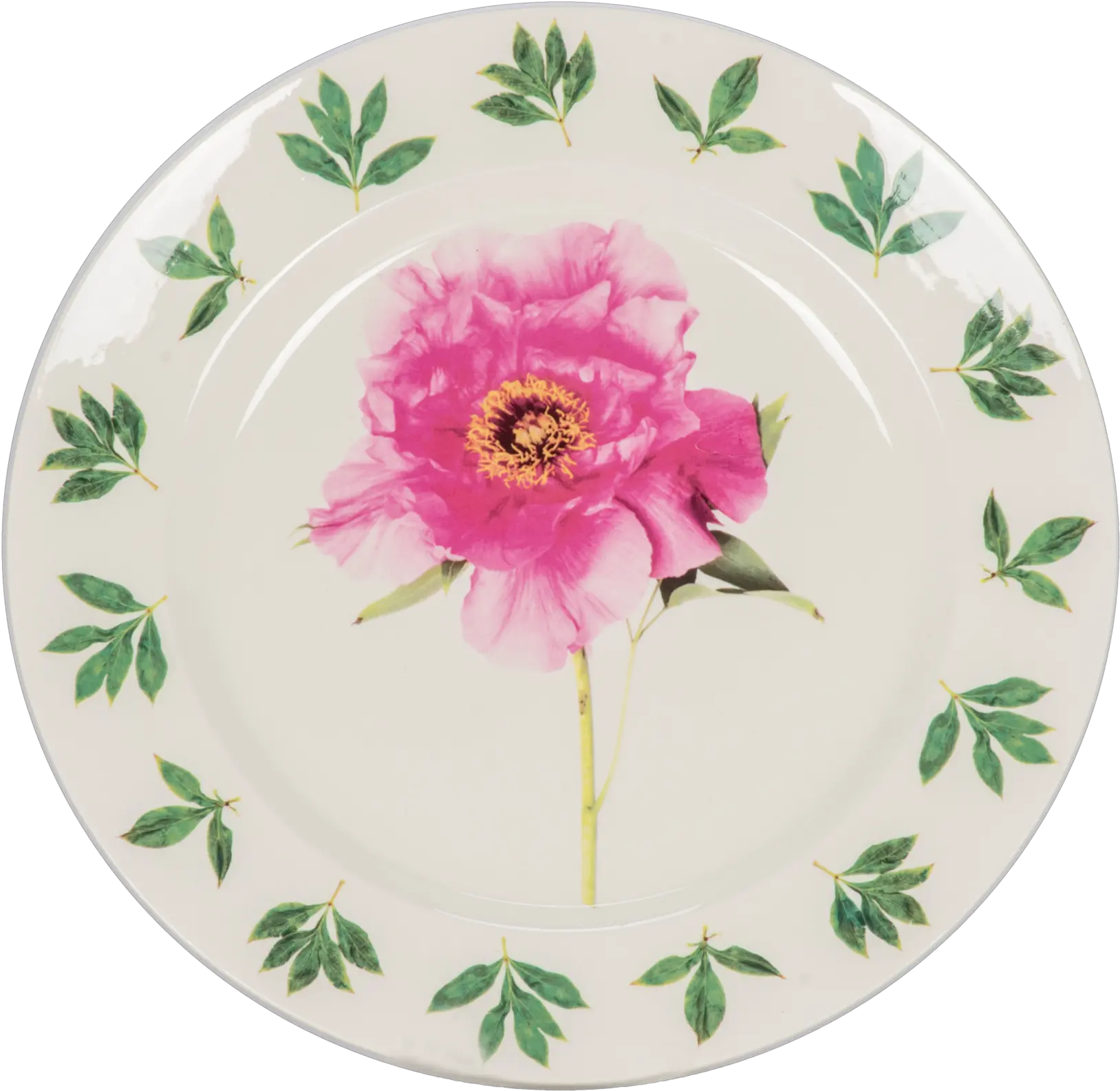 Peony Dinner Plate Dinner Plate Png Peony Transparent