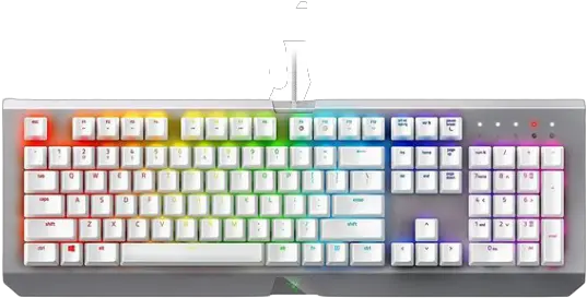 Razer Blackwidow X Chroma Razer Blackwidow Mercury Png Razer Kraken 7.1 V2 Icon