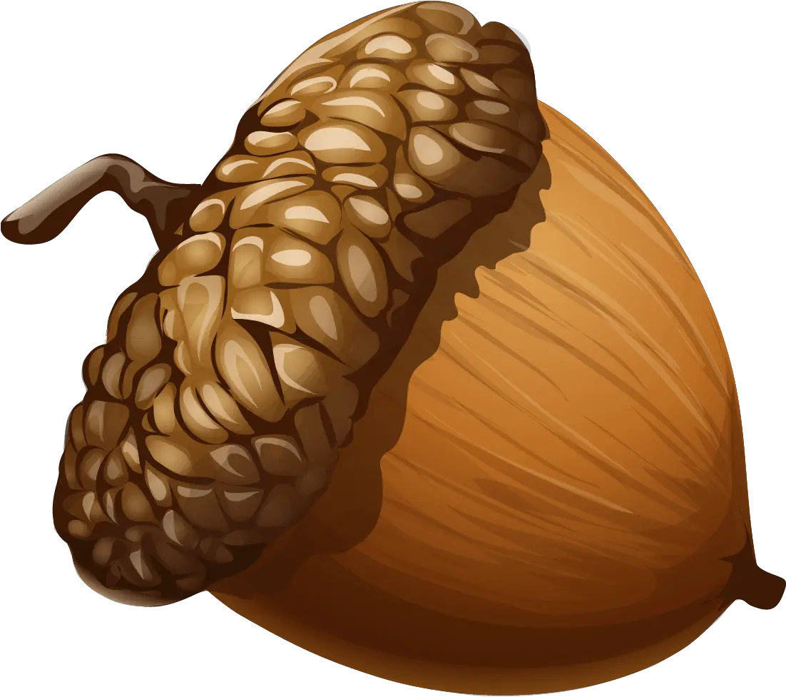 Peanut Png Transparent Images Free Acorn Png Peanut Transparent