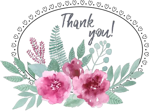Watching All My Illustrations Common Peony Png Thanks For Watching Png