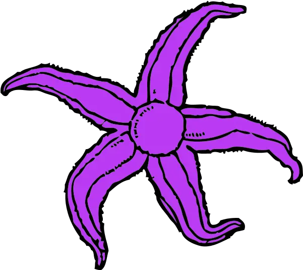 Download Hd Purple Starfish Clipart Starfish Clip Art Starfish Clip Art Png Starfish Clipart Transparent Background