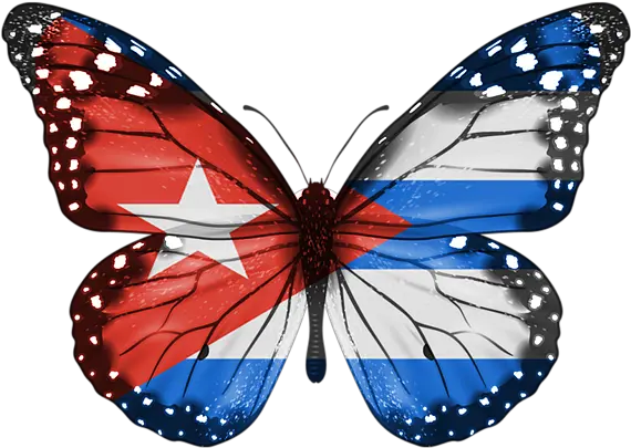 Butterfly Flag Of Cuba Spiral Notebook Pink Butterfly Cut Out Png Cuba Flag Png