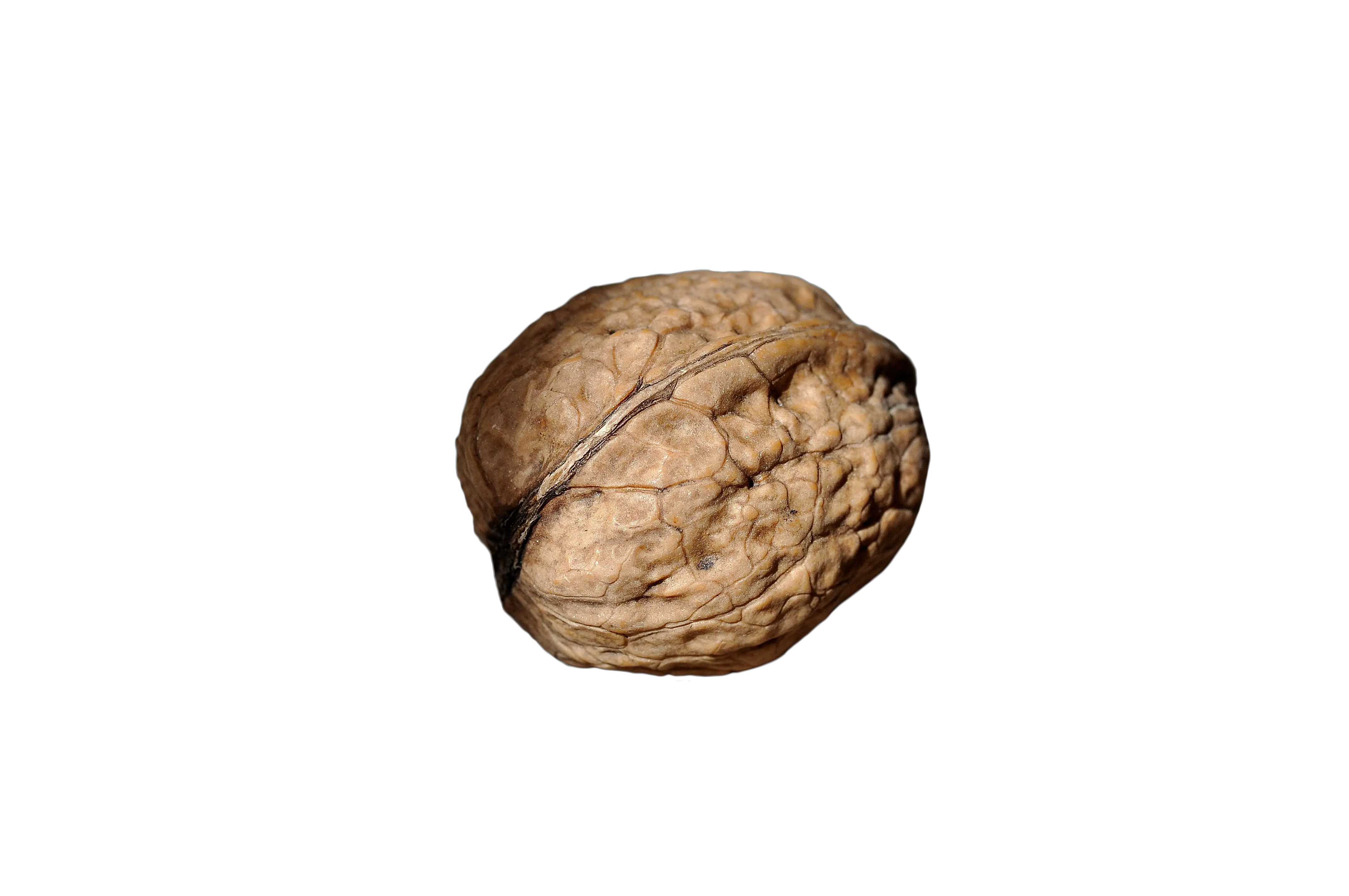 Walnut Png Image Nuss Png Walnut Transparent