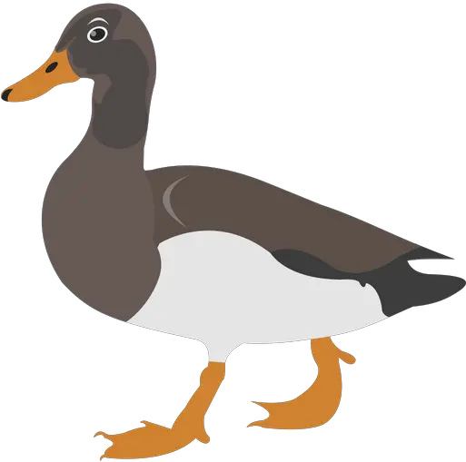 Free Duck Icon Of Flat Style Available In Svg Png Eps Domestic Duck Donald Duck Icon