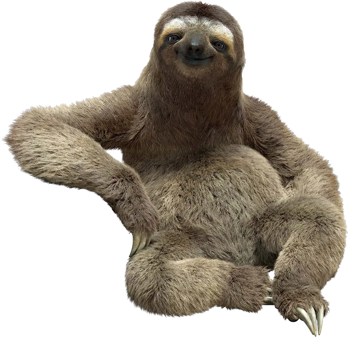 Sloth Png Sloth Png Sloth Png