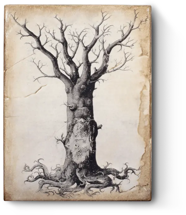 Download Hd Medieval Tree Of Life Transparent Png Image Sid Dickens Tree Of Life Tree Of Life Png