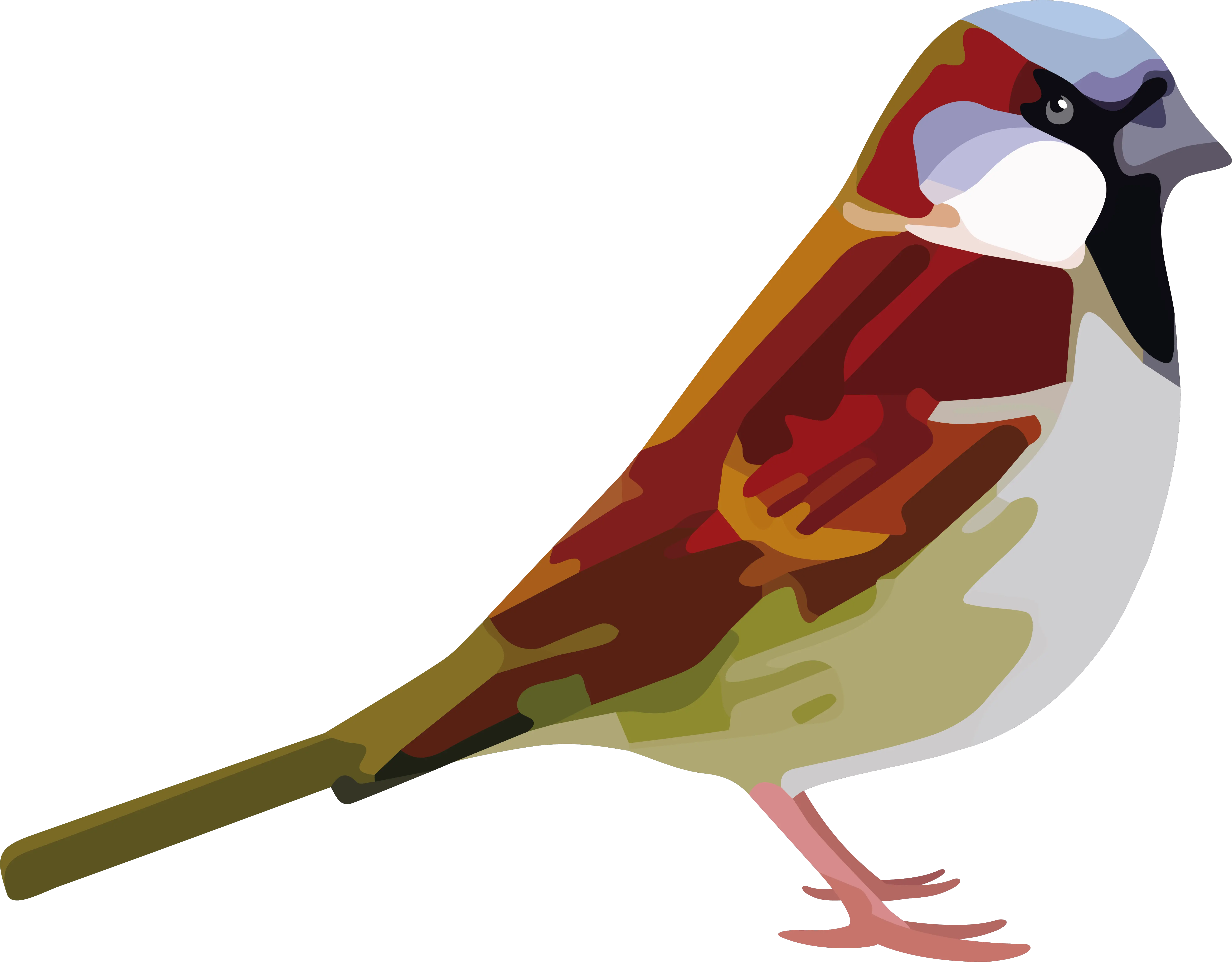 Download Free Png Sparrow Photo House Sparrow Sparrow Png