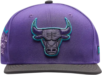 New Era Nba 9fifty Icon Snapback Cap Menu0027s Jordan 5 Grape Hat Png Nba Icon