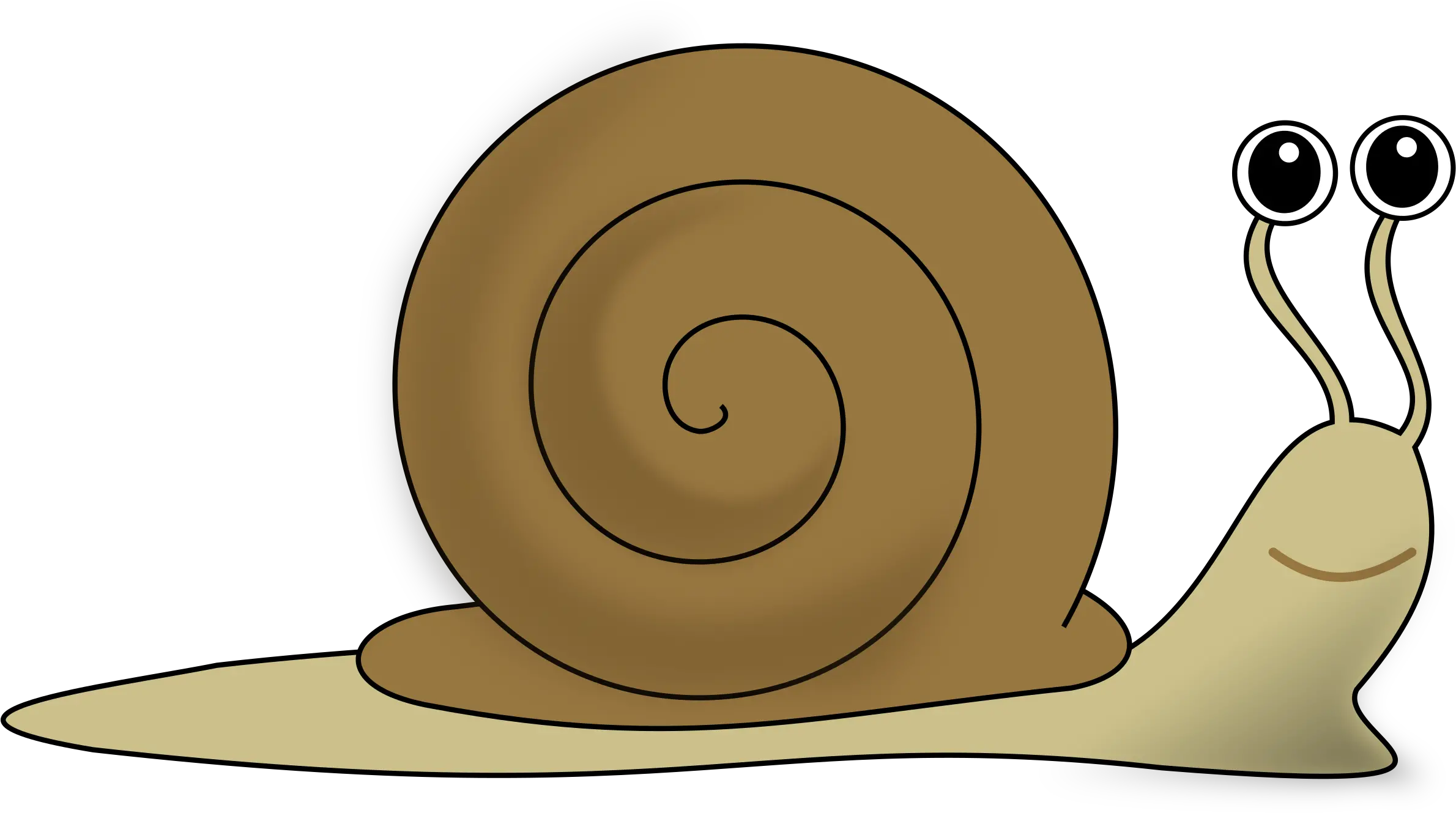 Library Of Snail Png Free Download Clipart Snail Snail Png