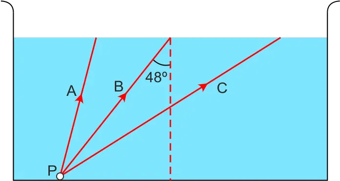 Fig Shows A Point Source P Inside Water Container Three Plot Png Water Surface Png