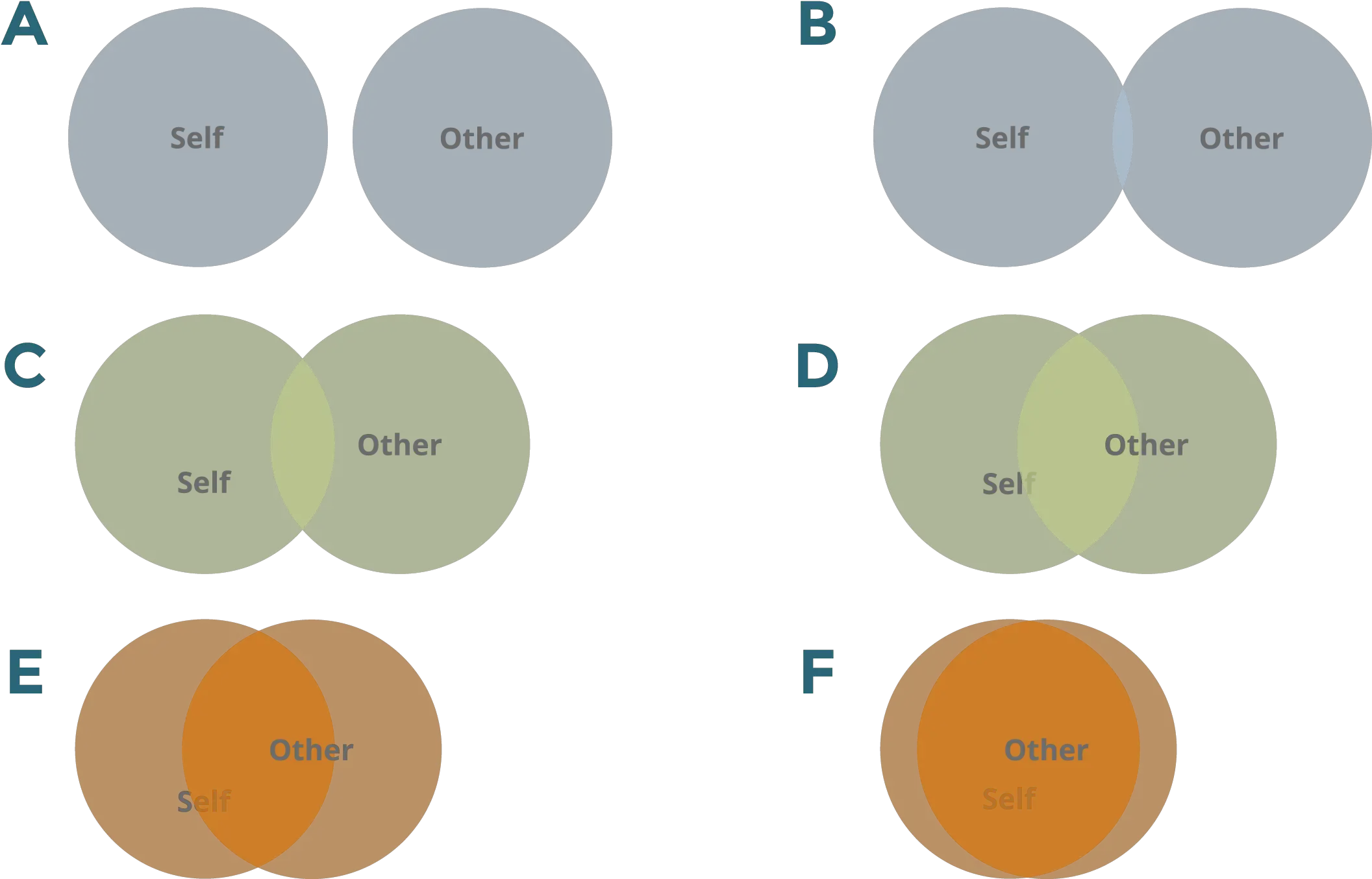 Connectiondisconnection Exercise Campus Health Disconnection From Self Png Transparent Venn Diagram