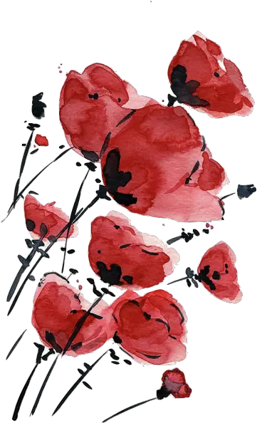 Flower Drawing Png Tumblr Flowers Inspiration Red Watercolor Flowers Transparent Flower Drawing Tumblr