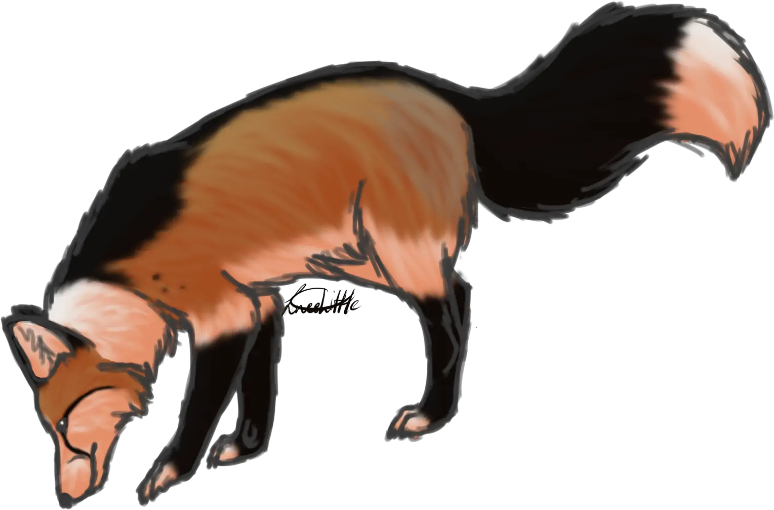 Striped Skunk Png Image With No Striped Skunk Skunk Png
