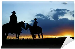 Cowboy Silhouette Wall Mural U2022 Pixers We Live To Change 3 De Maio Dia Do Sertanejo Png Cowboy Silhouette Png