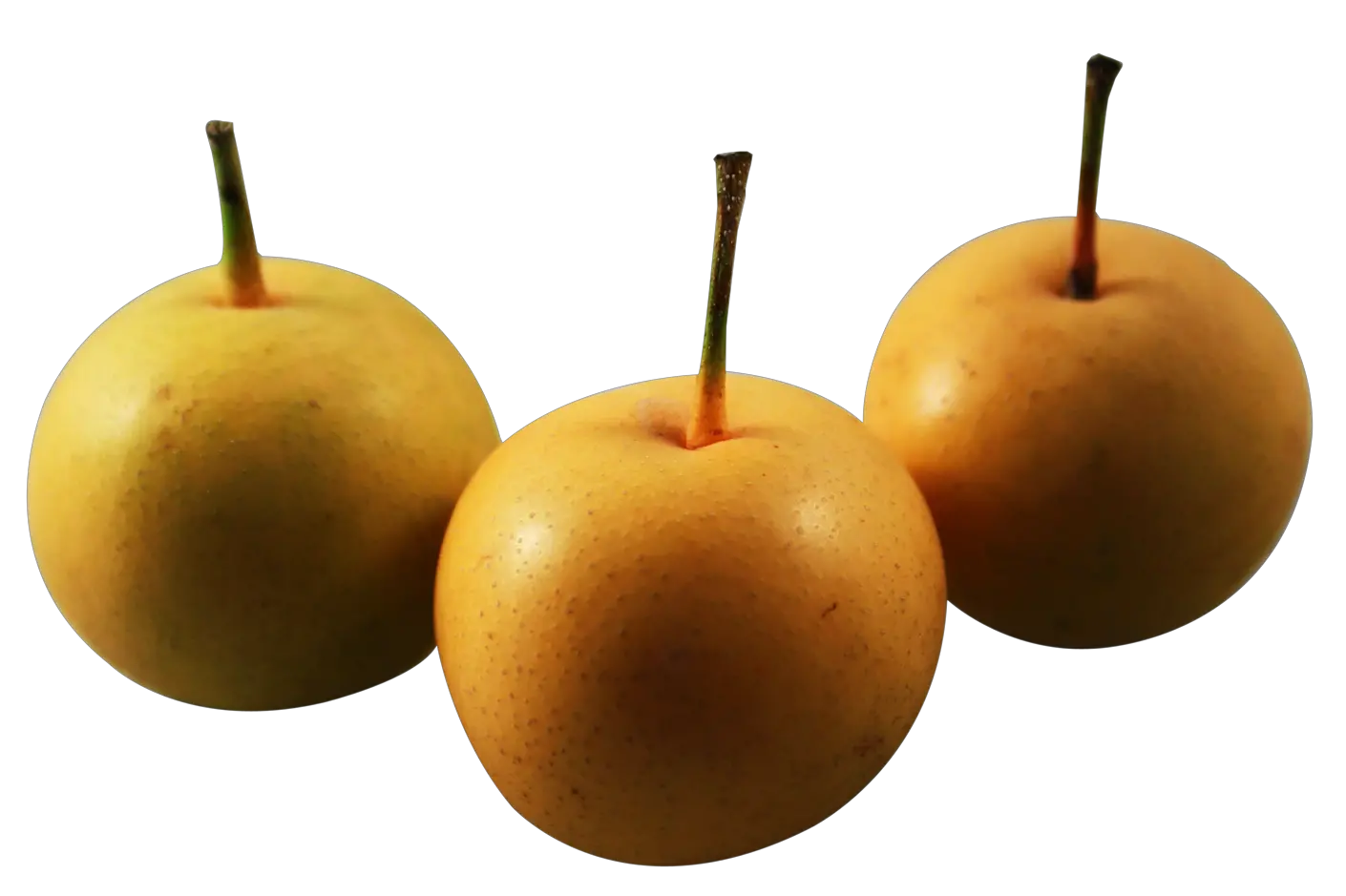 Free Png Asian Nashi Pear Nashi Png Pear Png