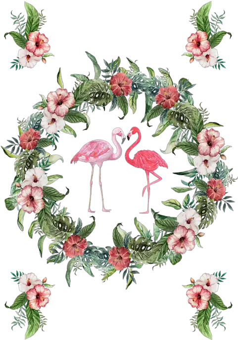 Boho Floral Tropical Wreath Flamingo Greeting Card Tropical Wreaths Png Flamingo Clipart Png